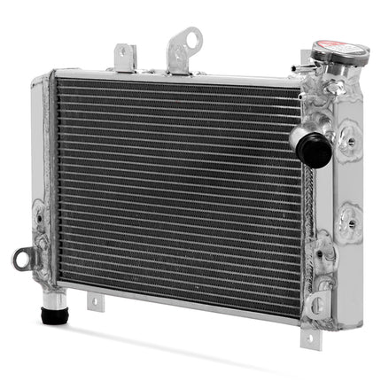 Aluminum Water Cooling Radiator for BMW S1000RR 2009-2018 / HP4 RACE 2018