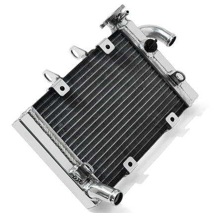 For Benelli TNT 300 / BN302 / BN302S / Keeway RKX / Stels Heavy-Duty Aluminum Radiator