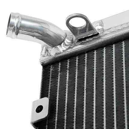 For Benelli TNT 300 / BN302 / BN302S / Keeway RKX / Stels Heavy-Duty Aluminum Radiator