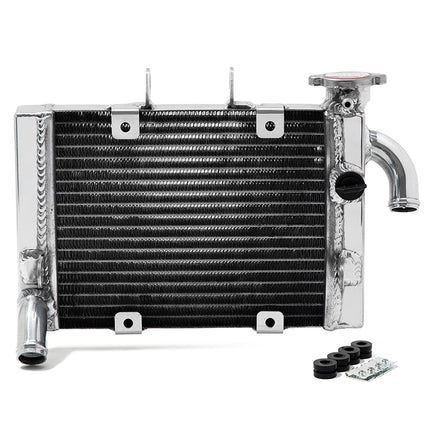 For Benelli TNT 300 / BN302 / BN302S / Keeway RKX / Stels Heavy-Duty Aluminum Radiator