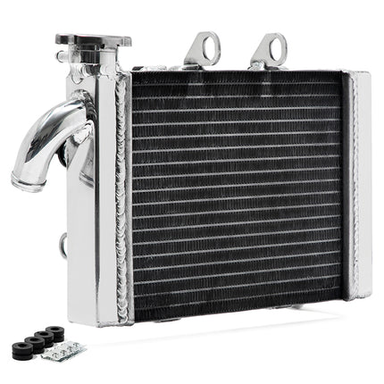 For Benelli TNT 300 / BN302 / BN302S / Keeway RKX / Stels Heavy-Duty Aluminum Radiator