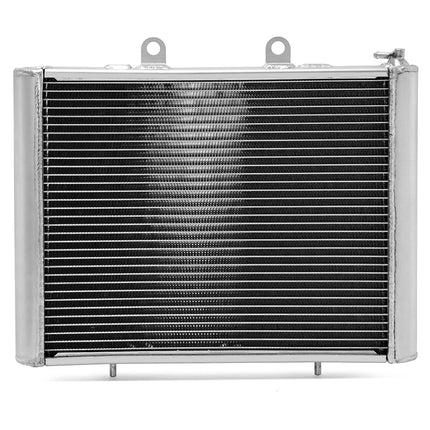 For Polaris RZR XP 900 2011-2013 / RZR 4 900 RZR 900 2014 / RZR XP 4 900 2012-2013 44MM Aluminum Cooling Radiator 1240552