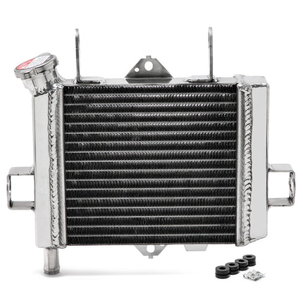 For Suzuki GSX-S125 / GSX-R125 2017-2025 Replaces OEM 17710-23K00 Aluminum Engine Cooling Radiator