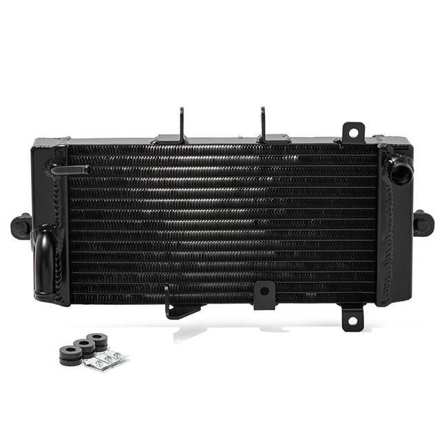 For Suzuki GSX250R / V-Strom 250 / Inazuma GW250 2013-2021 17710-48HA0