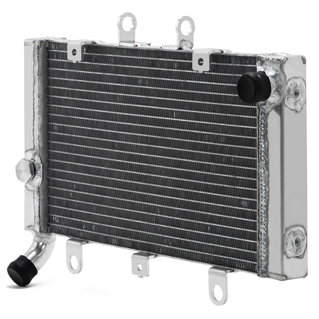 For HONDA CB1300 1998-2002 Aluminum Engine Cooler Radiator 19010-MBR-004