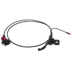 Rear Brake Assembly