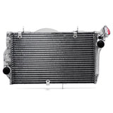 Aluminum Watercooler Radiator for Honda CBR1100XX BlackBird 1999-2007