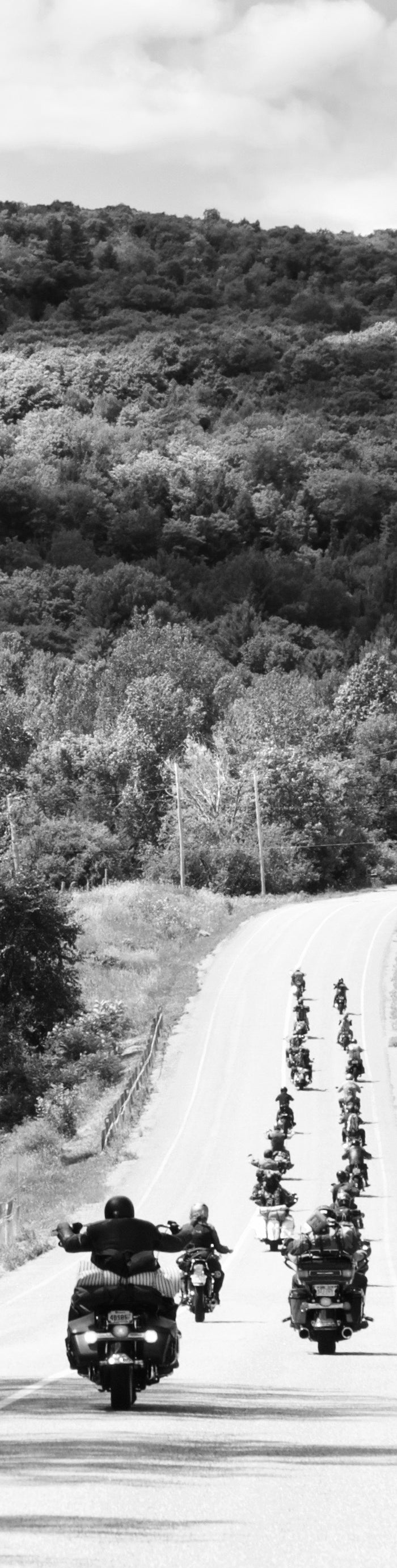 <h1>Hi there. How can we help you?</h1>