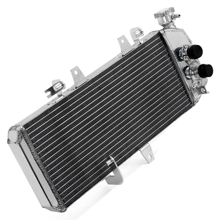 Aluminum Watercooler Radiator for BMW F800GS 2006-2018