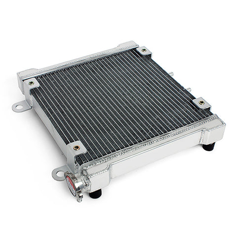 Aluminum Radiator for Can-Am DS650 2001-2005 OEM 709200145