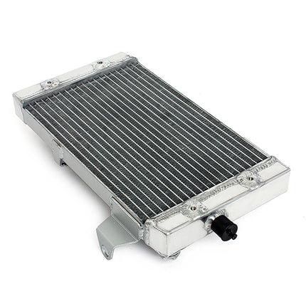 Aluminum Radiator for Kawasaki Prairie 700 KVF700A/B (KFX700) 2004-2009 OEM 39060-0006