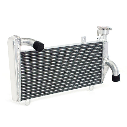 Aluminum Watercooler Radiator for Ducati Panigale 899 959 1299 1199 1199S 1199R Upper 12-19 / Panigale V2 Upper 20-25 / Streetfighter V2 Upper 22-24
