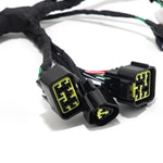 For Sur-ron Light Bee X / Segway X160 X260 / 79Bike Falcon M Wiring Assy Harness